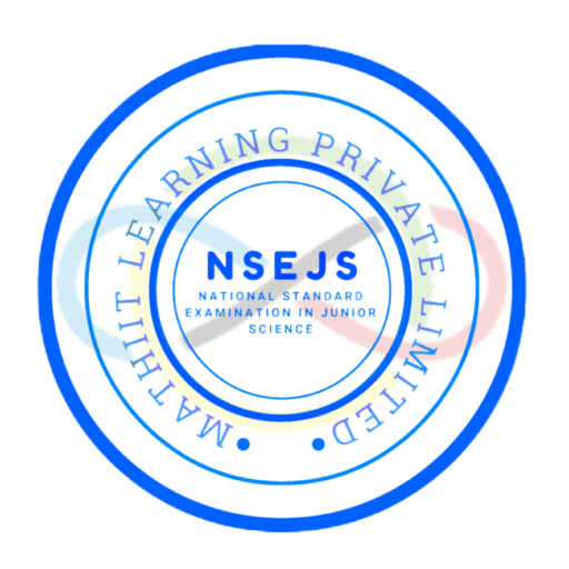 NSEJS ICON